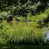 20150711-00166_Tisza-tura