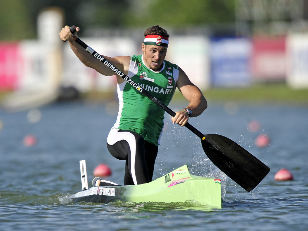 Ez már tényleg tétre megy