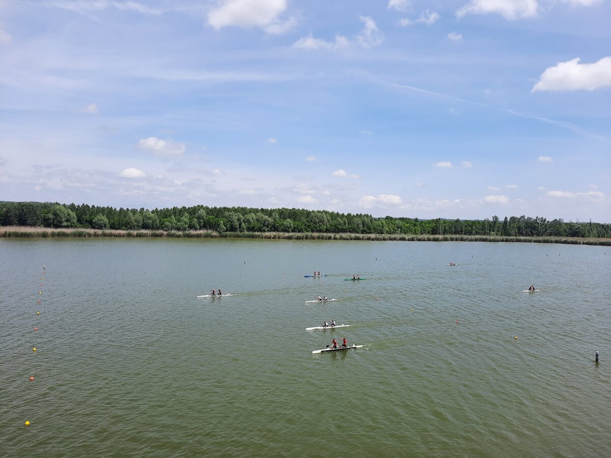 Eldőlt kik indulhatnak a világbajnokságon