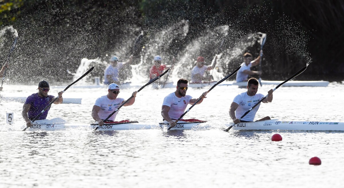 Idén a négyesre összpontosít az olimpiai bajnok Tótka Sándor