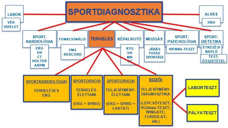Válasszunk okosan – terheléses vizsgálatot!